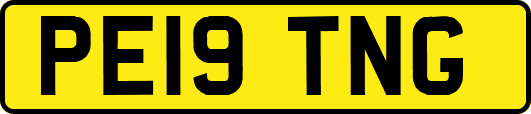PE19TNG