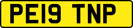 PE19TNP