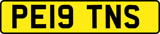 PE19TNS