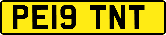 PE19TNT