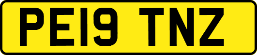 PE19TNZ