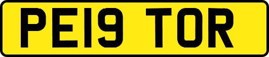 PE19TOR