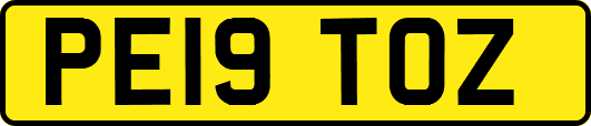 PE19TOZ