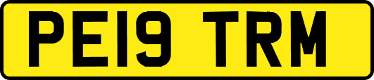 PE19TRM