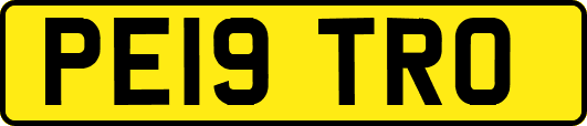 PE19TRO