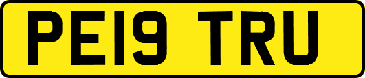 PE19TRU
