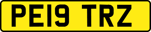 PE19TRZ