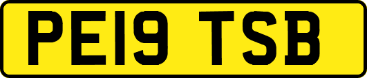 PE19TSB