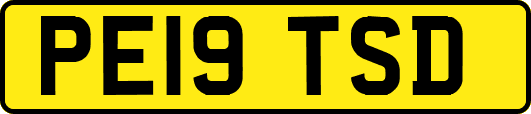 PE19TSD