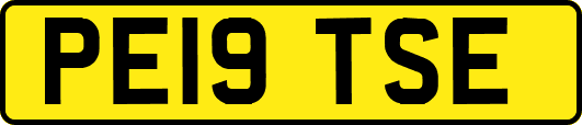 PE19TSE