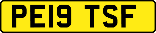 PE19TSF