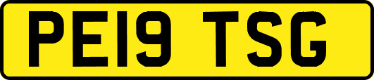 PE19TSG