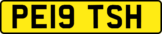 PE19TSH