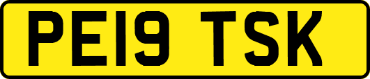 PE19TSK