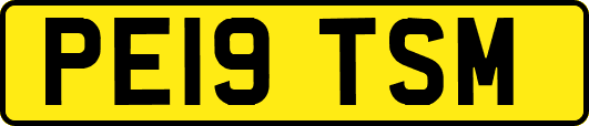 PE19TSM