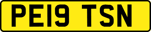 PE19TSN