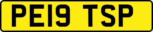 PE19TSP