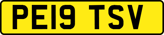 PE19TSV
