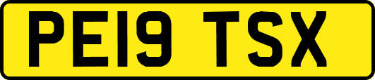 PE19TSX