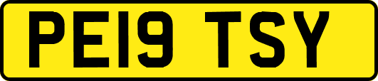 PE19TSY