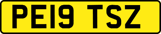 PE19TSZ