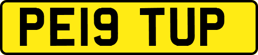 PE19TUP
