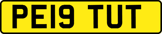 PE19TUT