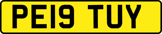 PE19TUY