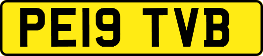 PE19TVB