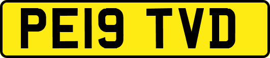 PE19TVD
