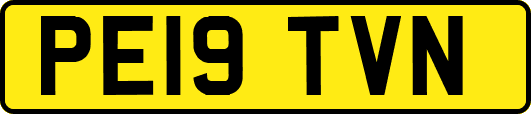 PE19TVN