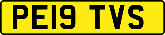 PE19TVS
