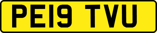PE19TVU