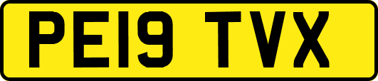 PE19TVX