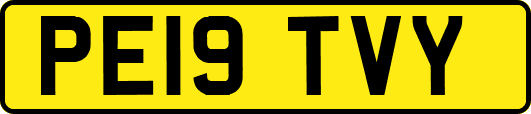 PE19TVY