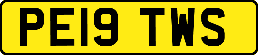 PE19TWS