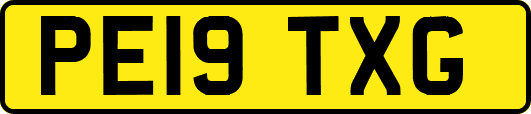 PE19TXG
