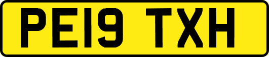 PE19TXH