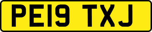 PE19TXJ