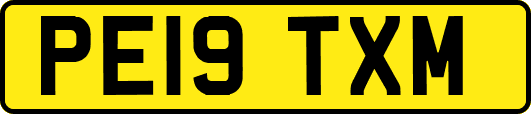PE19TXM