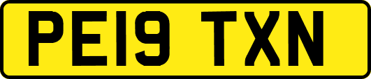 PE19TXN