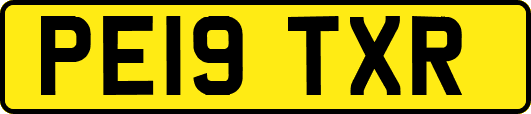 PE19TXR