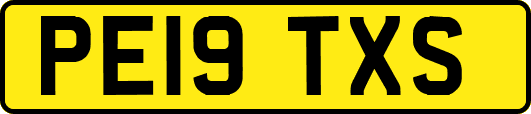 PE19TXS