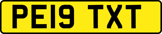 PE19TXT