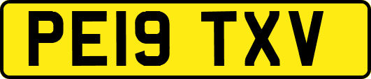 PE19TXV