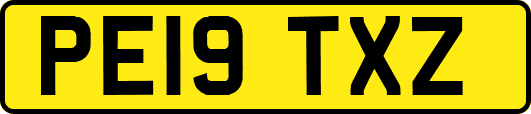 PE19TXZ