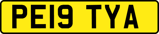 PE19TYA