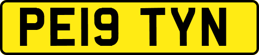 PE19TYN