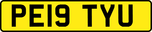 PE19TYU