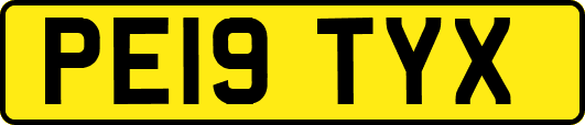 PE19TYX